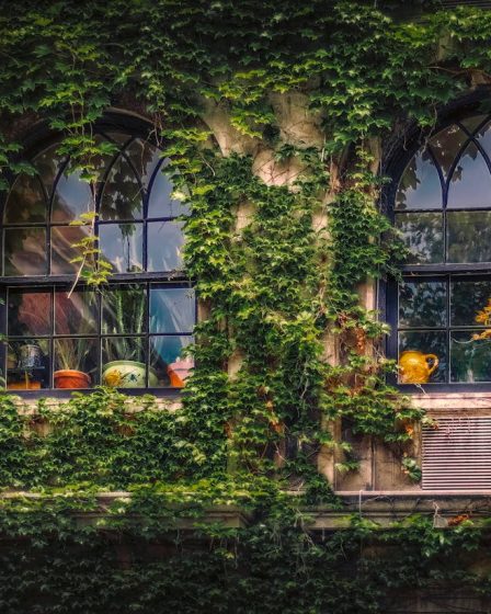 Les avantages des murs végétaux extérieurs pour votre jardin